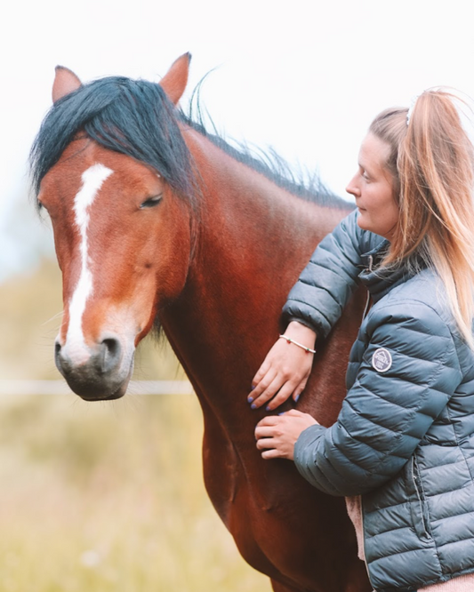 KST & FIT-behandling til din hest