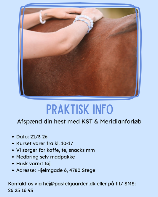 Kursus d. 21/3-26 - Afspænd din hest m. KST & Meridianforløb