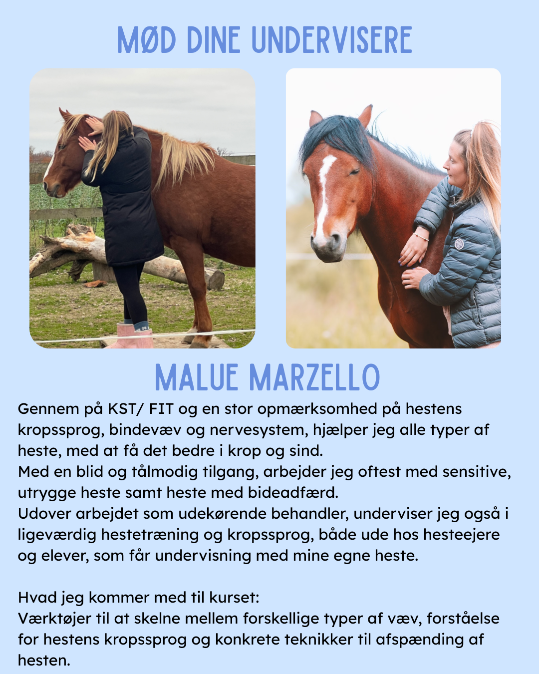 Kursus d. 28/2-26 - Afspænd din hest m. KST & Meridianforløb