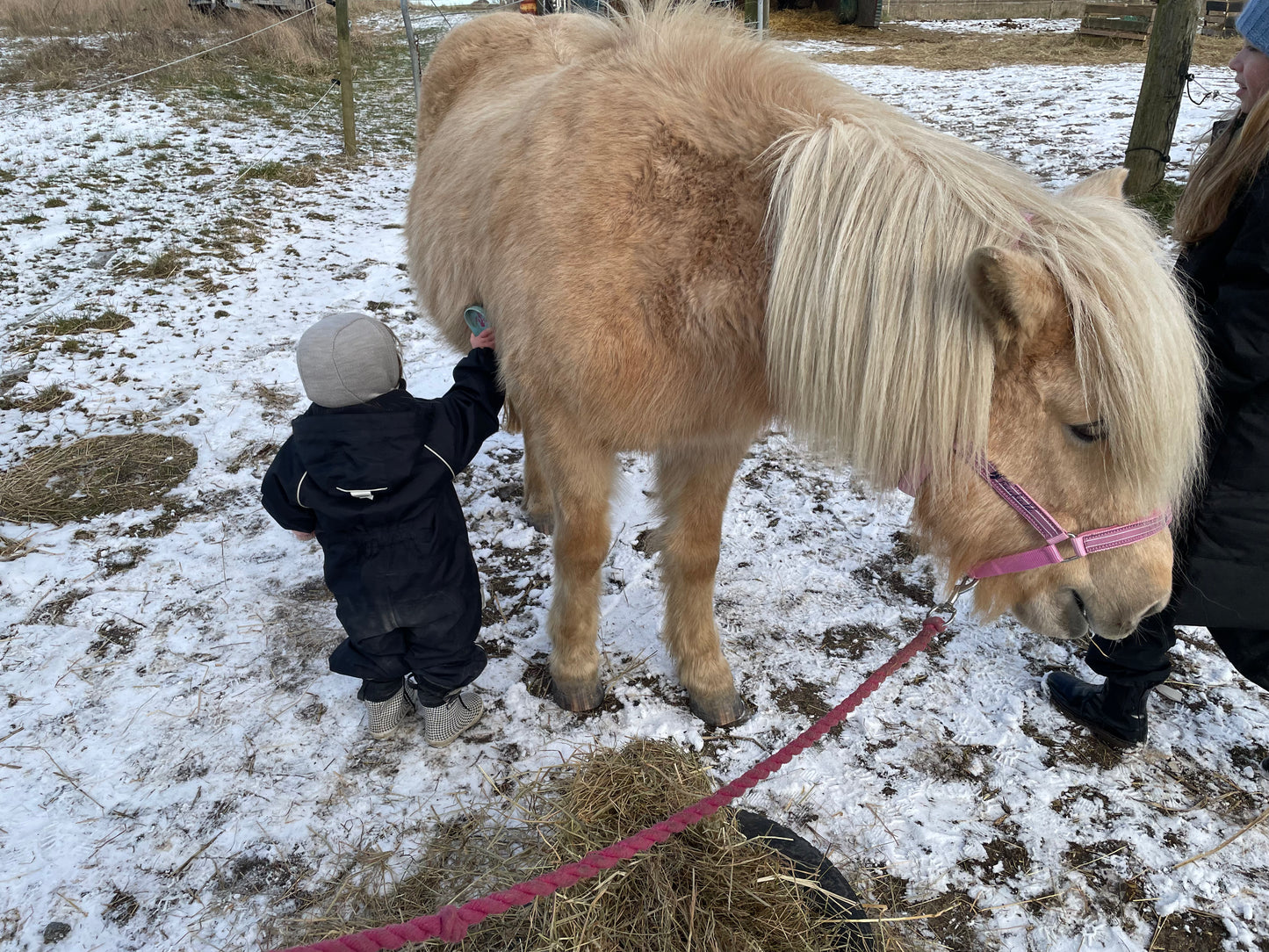 Hestevenlig rideundervisning