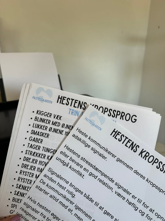 Kursus: Stressfri hestetræning - Forstå din hest og skab ro (Flere datoer)