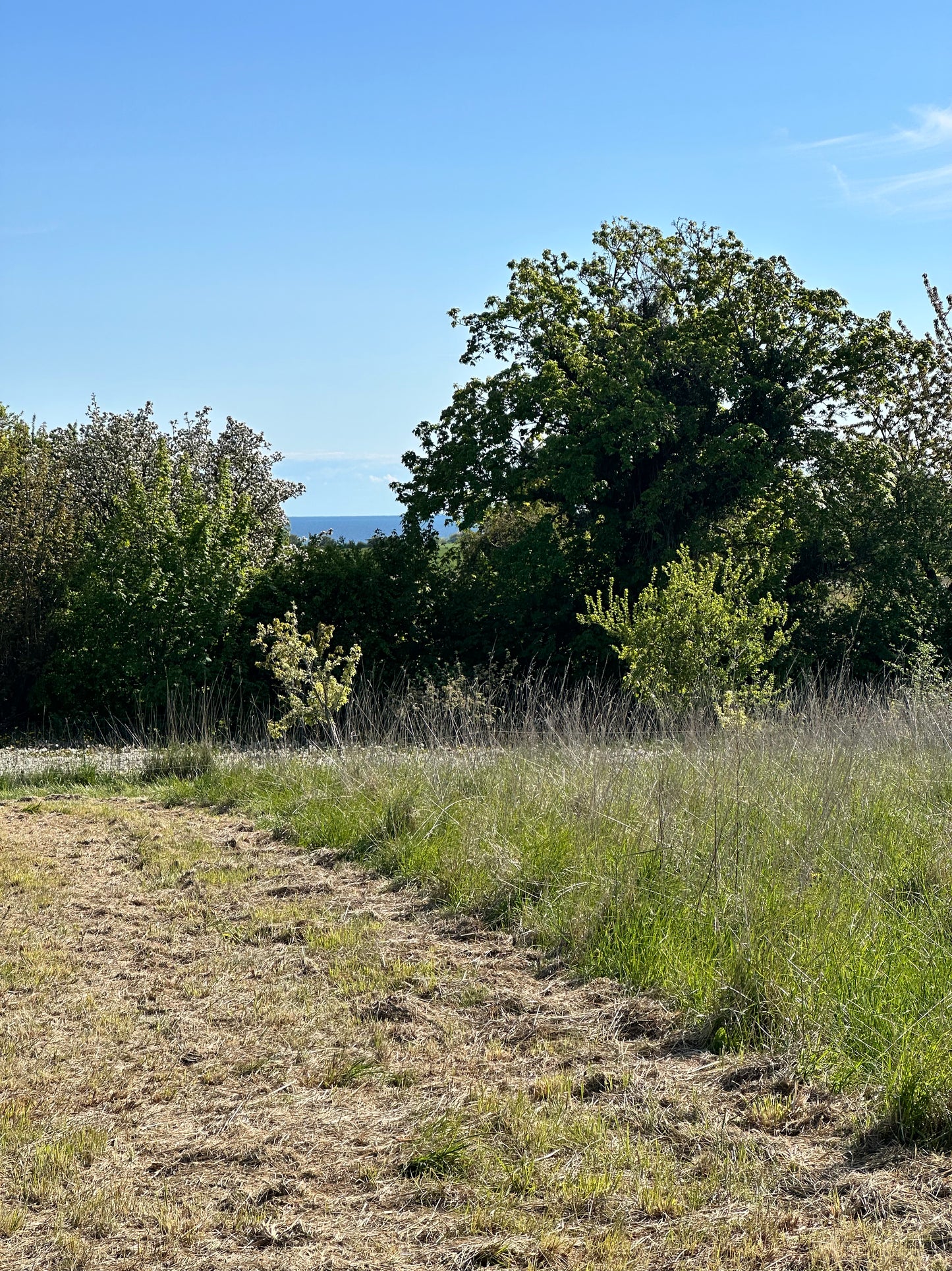 Ponyhygge & overnatning i luksustelt på Møn