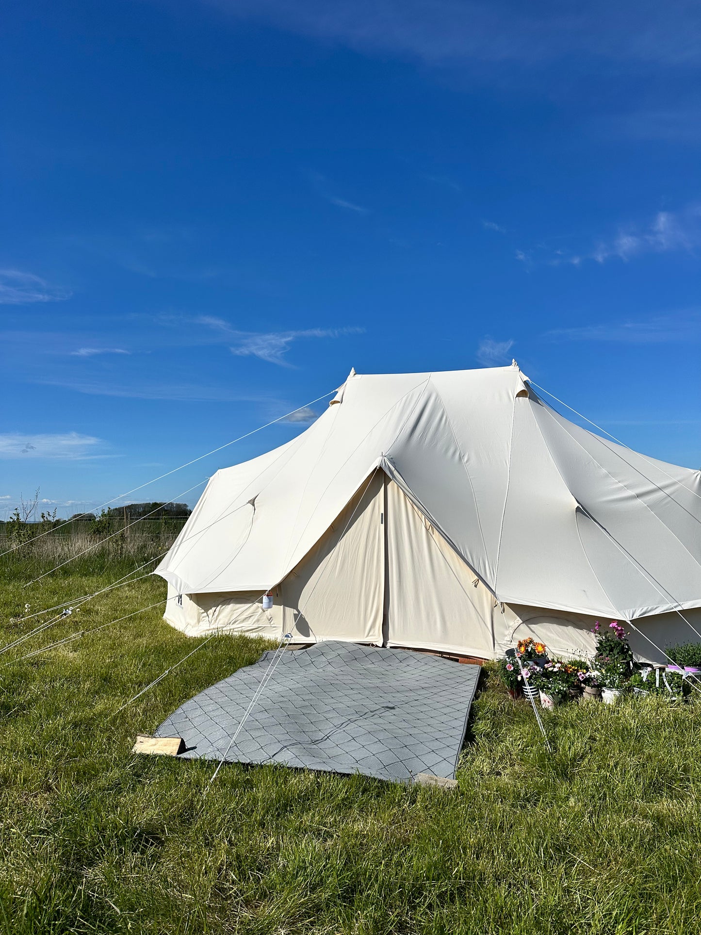 Ponyhygge & overnatning i luksustelt på Møn