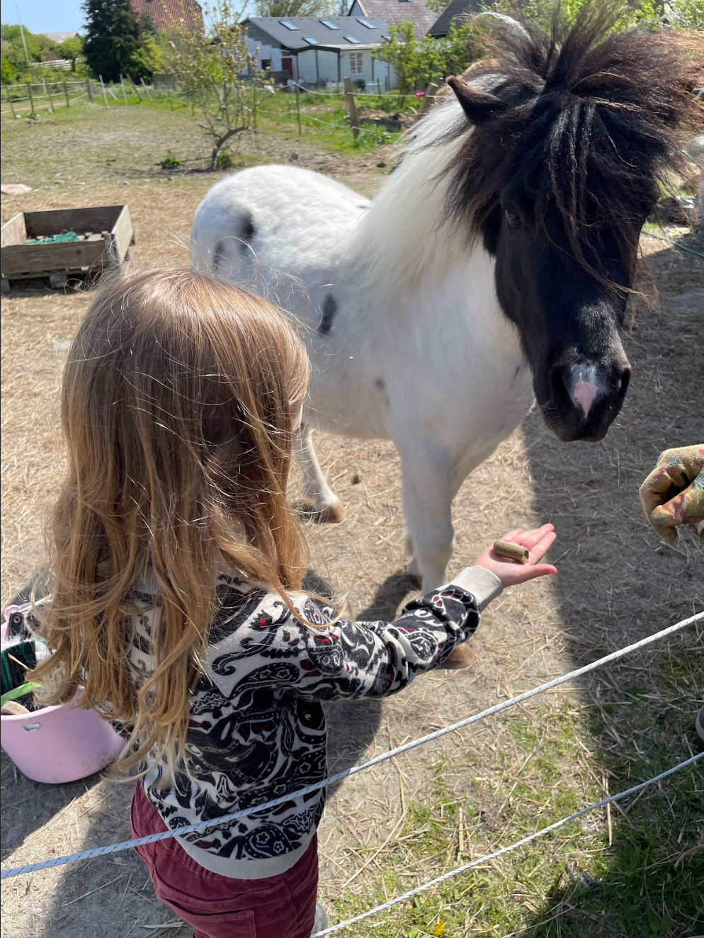 Hestevenlig rideundervisning