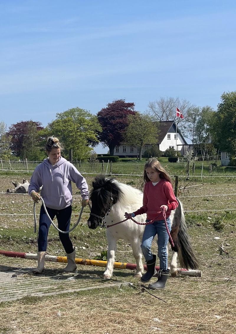 Hestevenlig rideundervisning