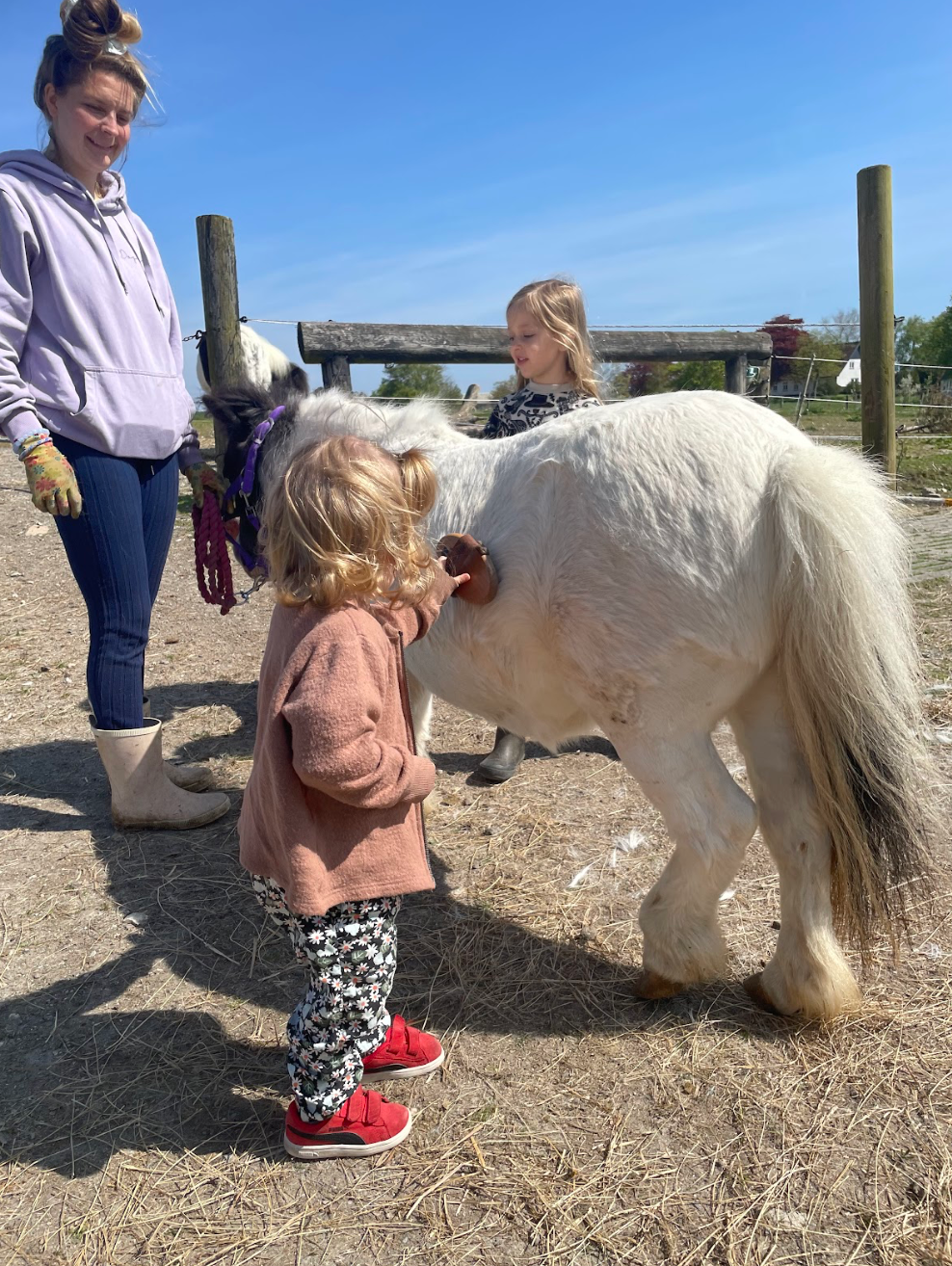 Hestevenlig rideundervisning