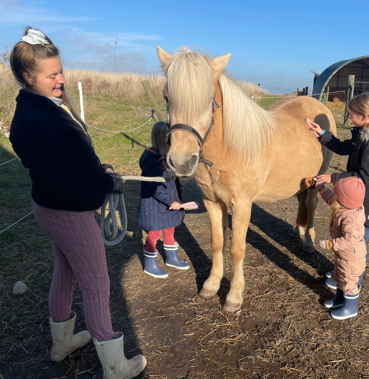 Hestevenlig rideundervisning