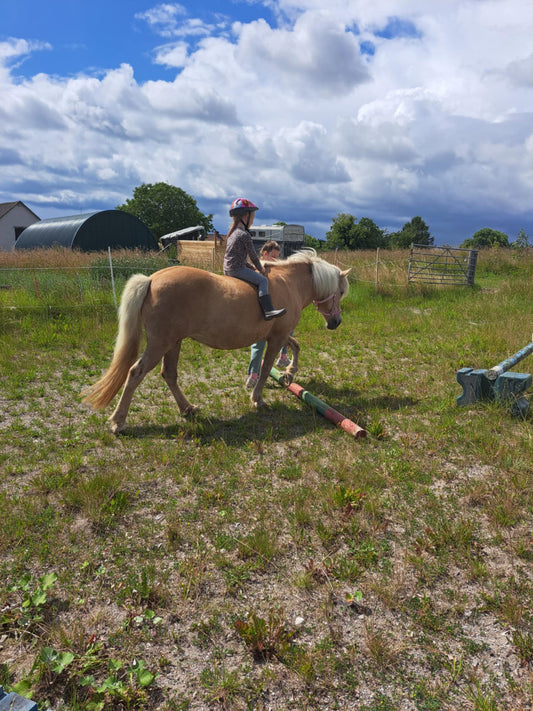Hestevenlig rideundervisning