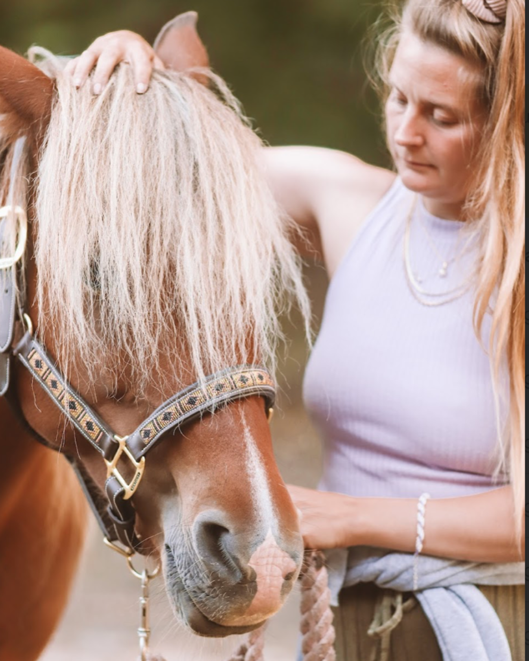 KST & FIT-behandling til din hest