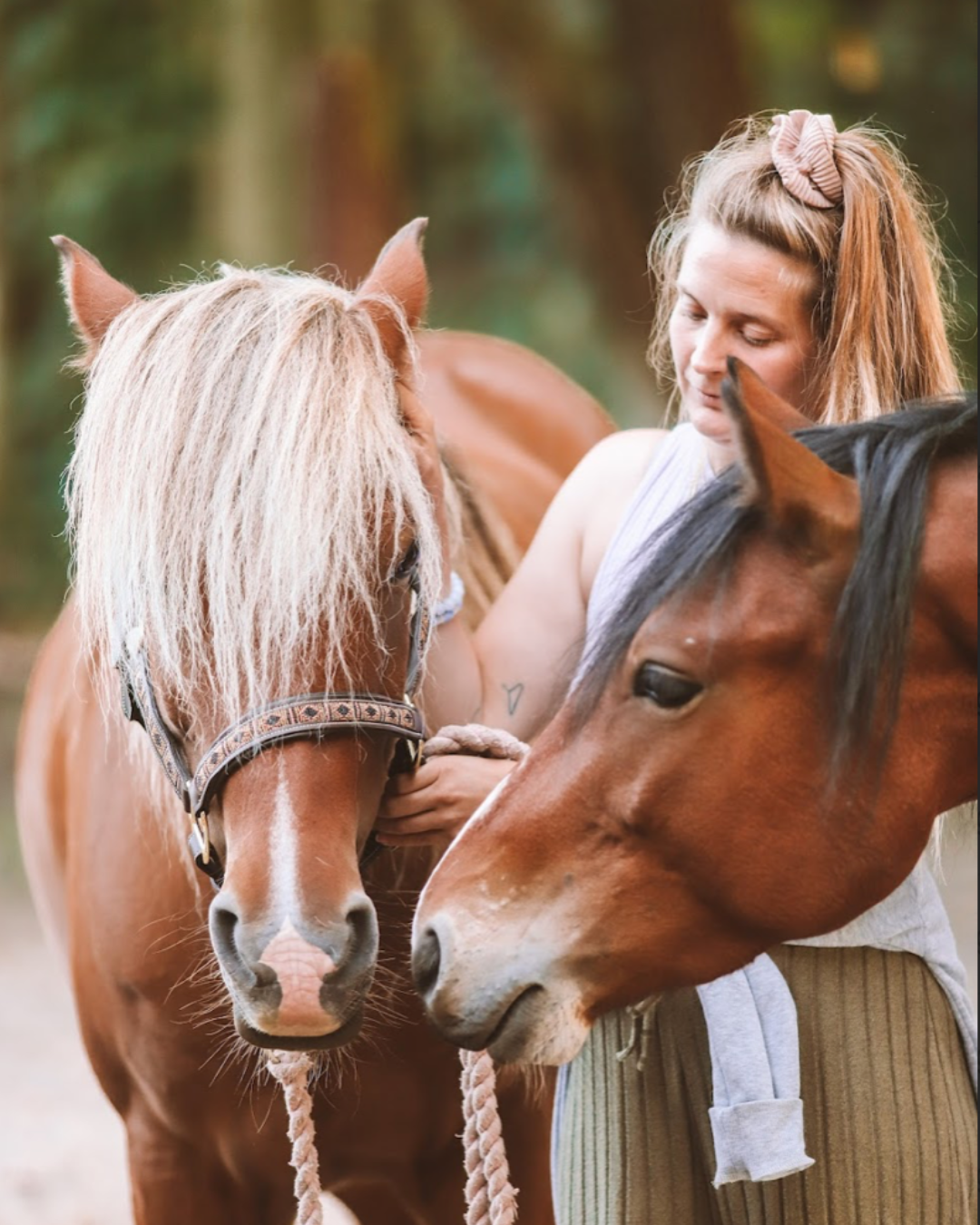 KST & FIT-behandling til din hest