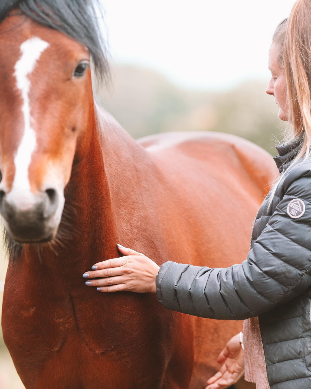KST & FIT-behandling til din hest