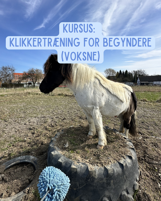 Kursus: Klikkertræning for begyndere - Voksne (Flere datoer)