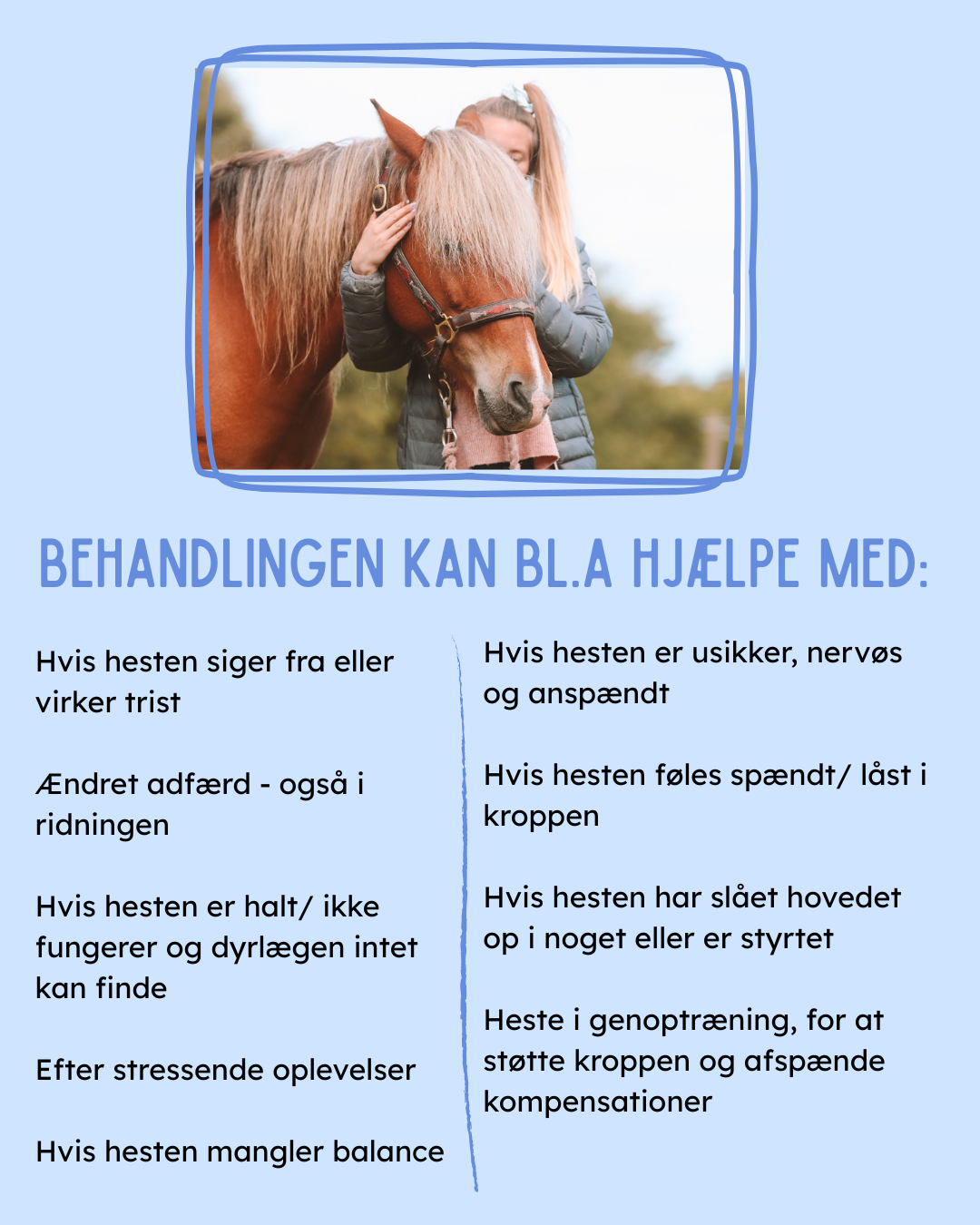 KST & FIT-behandling til din hest