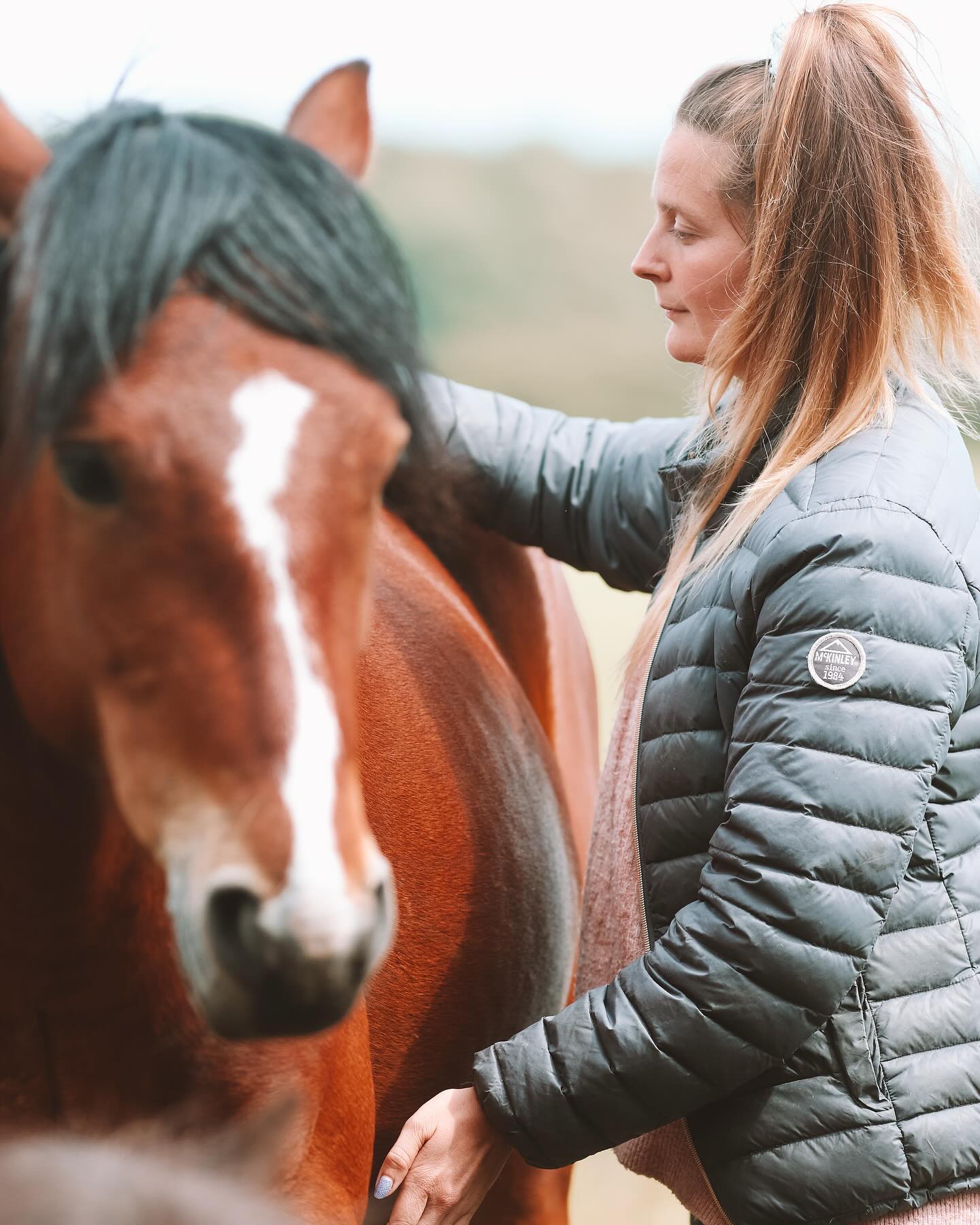 KST & FIT-behandling til din hest