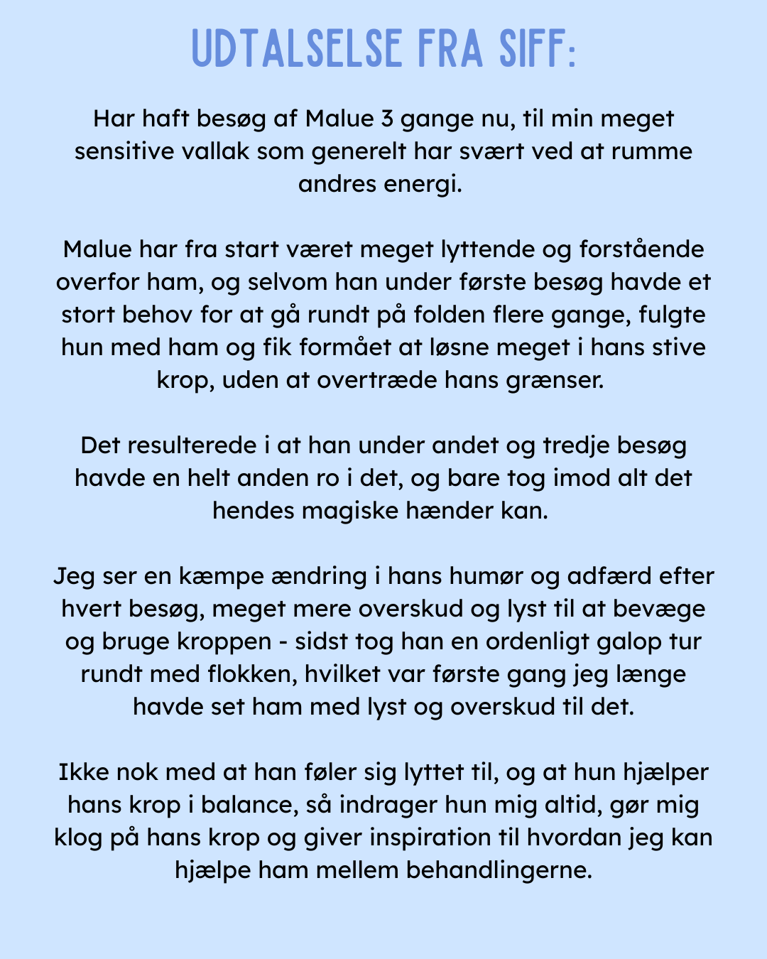 KST & FIT-behandling til din hest