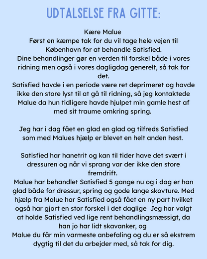 KST & FIT-behandling til din hest