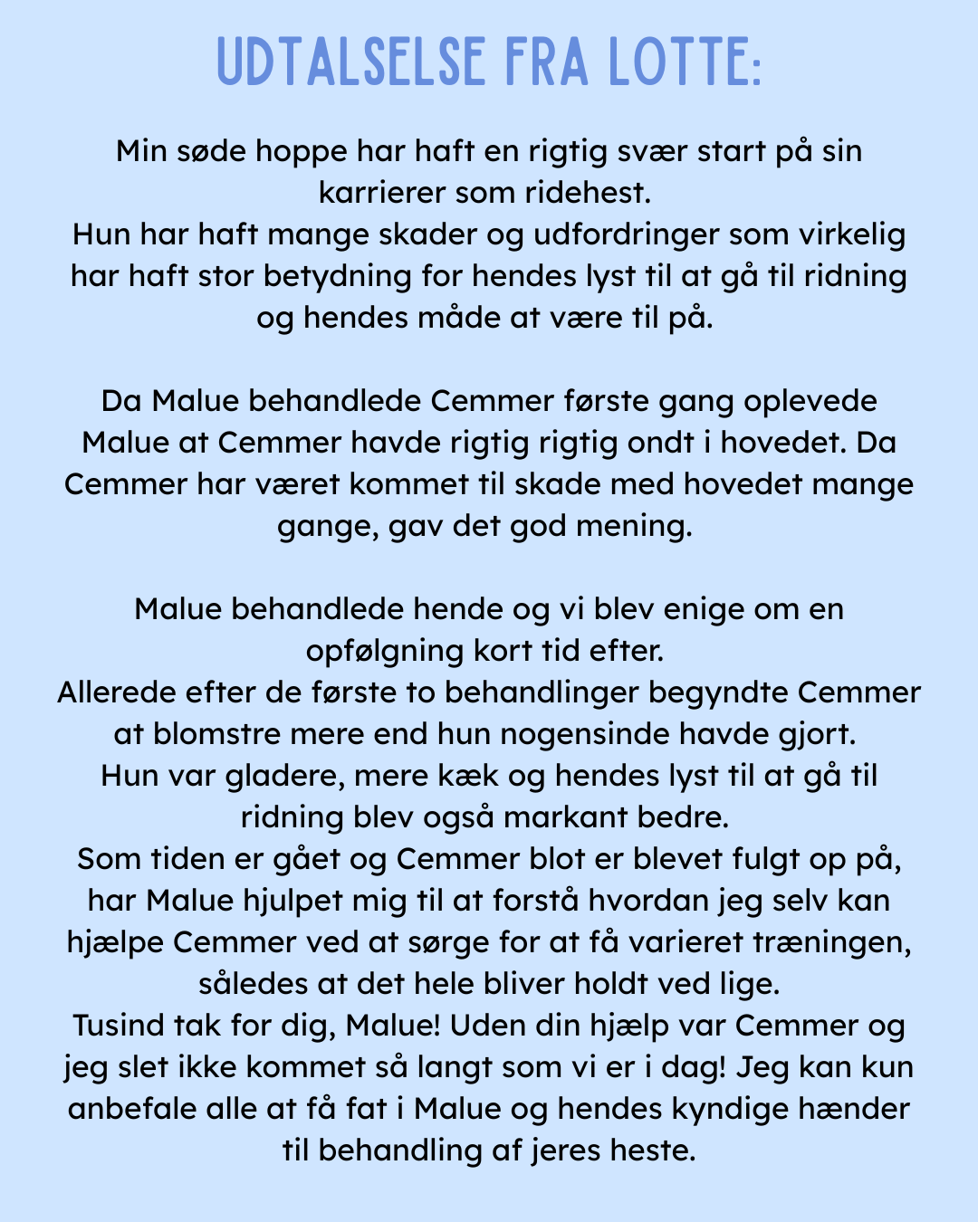 KST & FIT-behandling til din hest