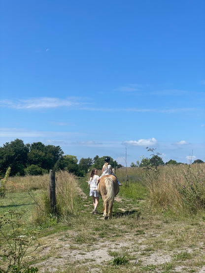 (Kommer snart) Ponyhygge & overnatning i anneks på Møn