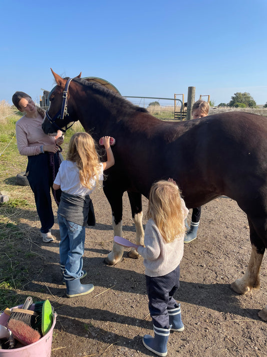 Ponyhygge & overnatning i luksustelt på Møn