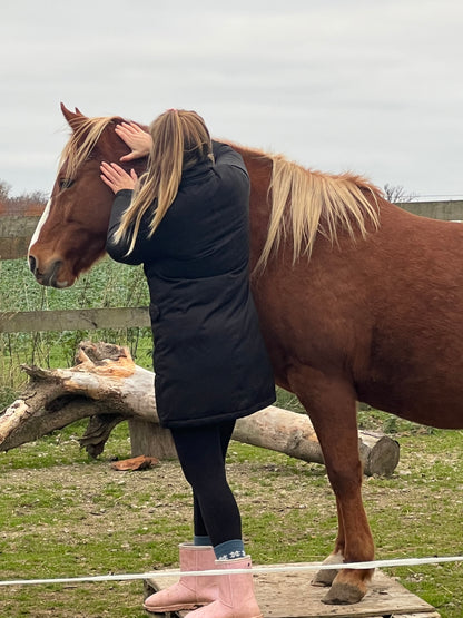 KST & FIT-behandling til din hest