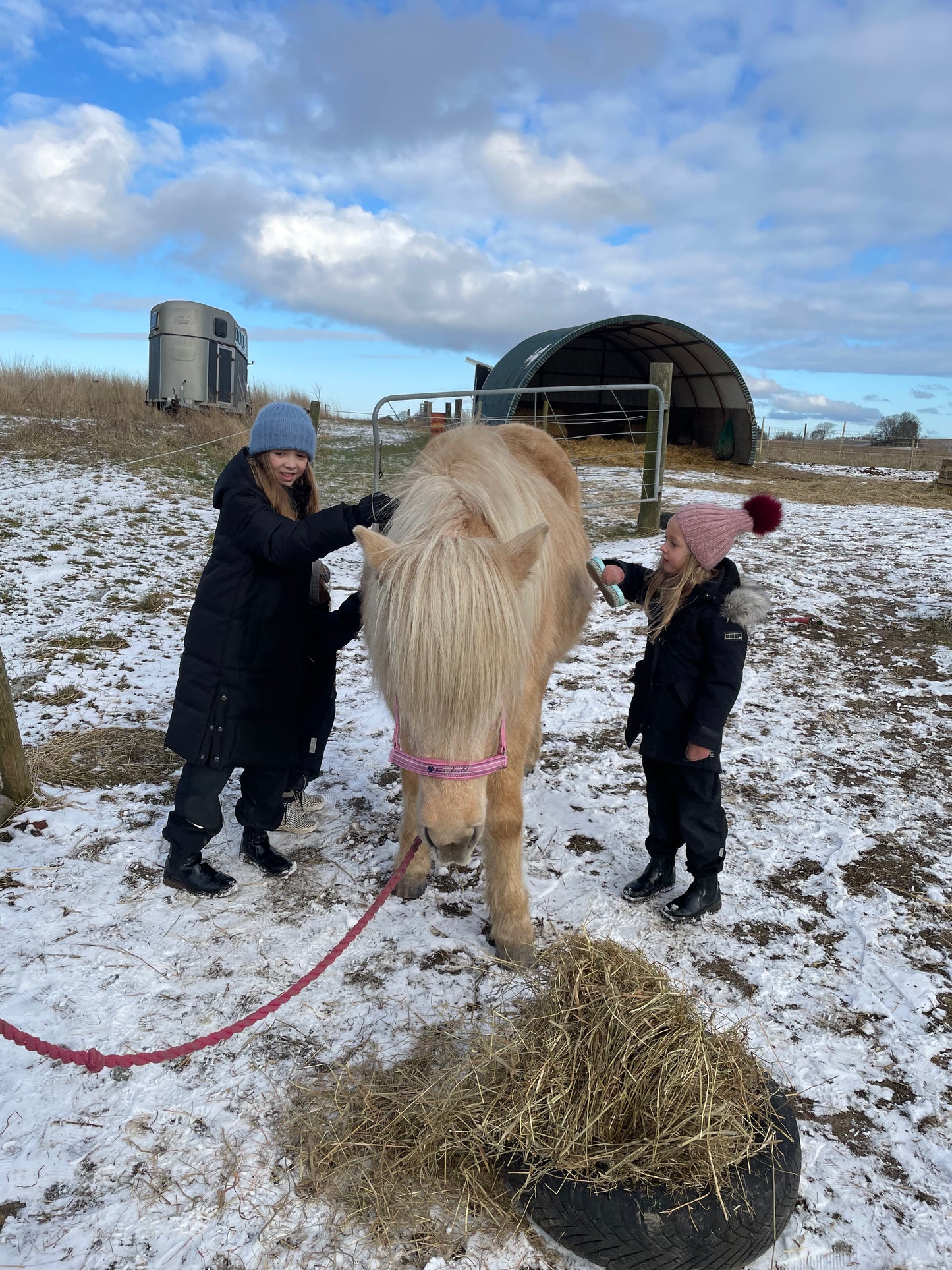 Hestevenlig rideundervisning