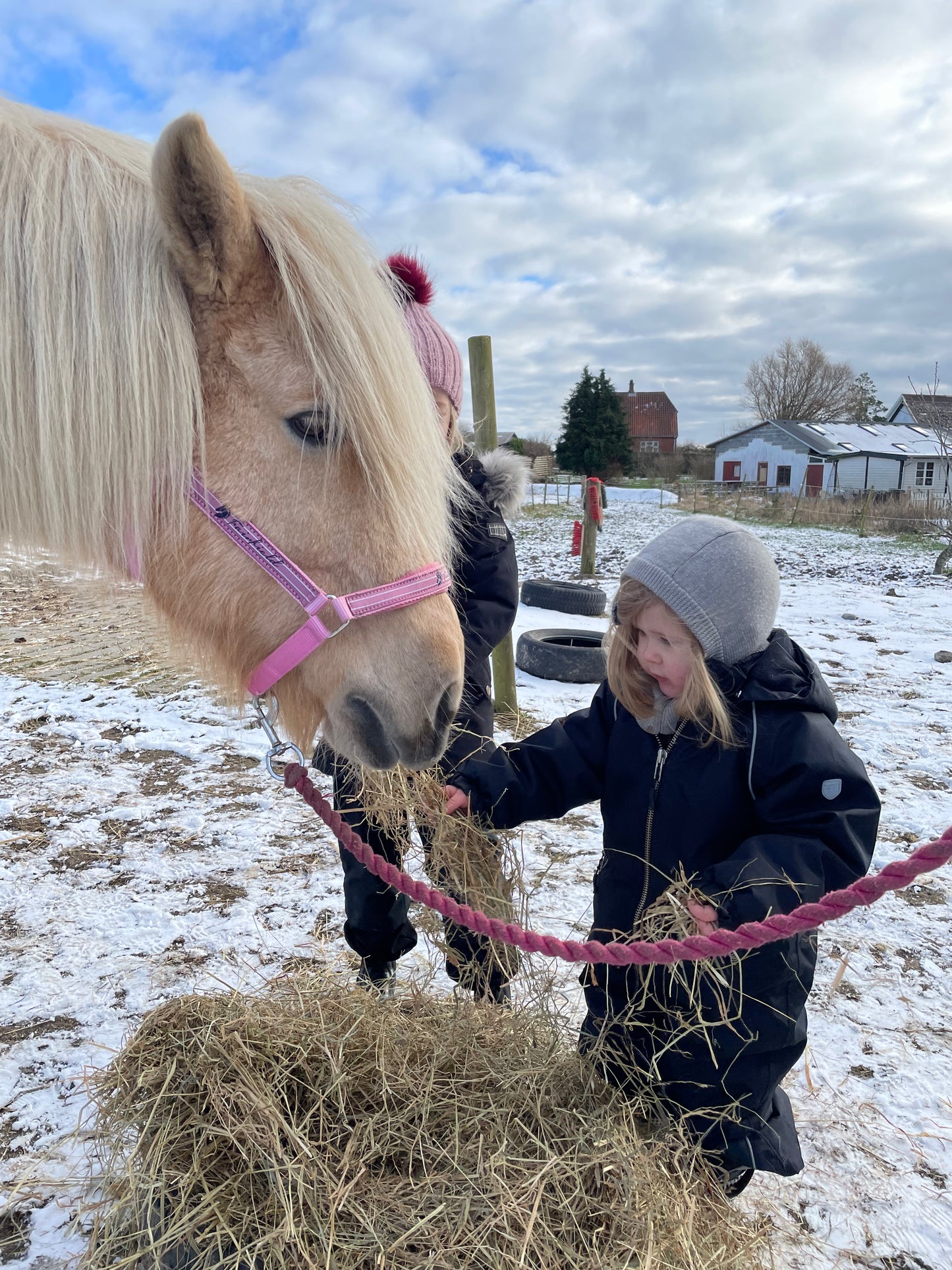 (Kommer snart) Ponyhygge & overnatning i anneks på Møn