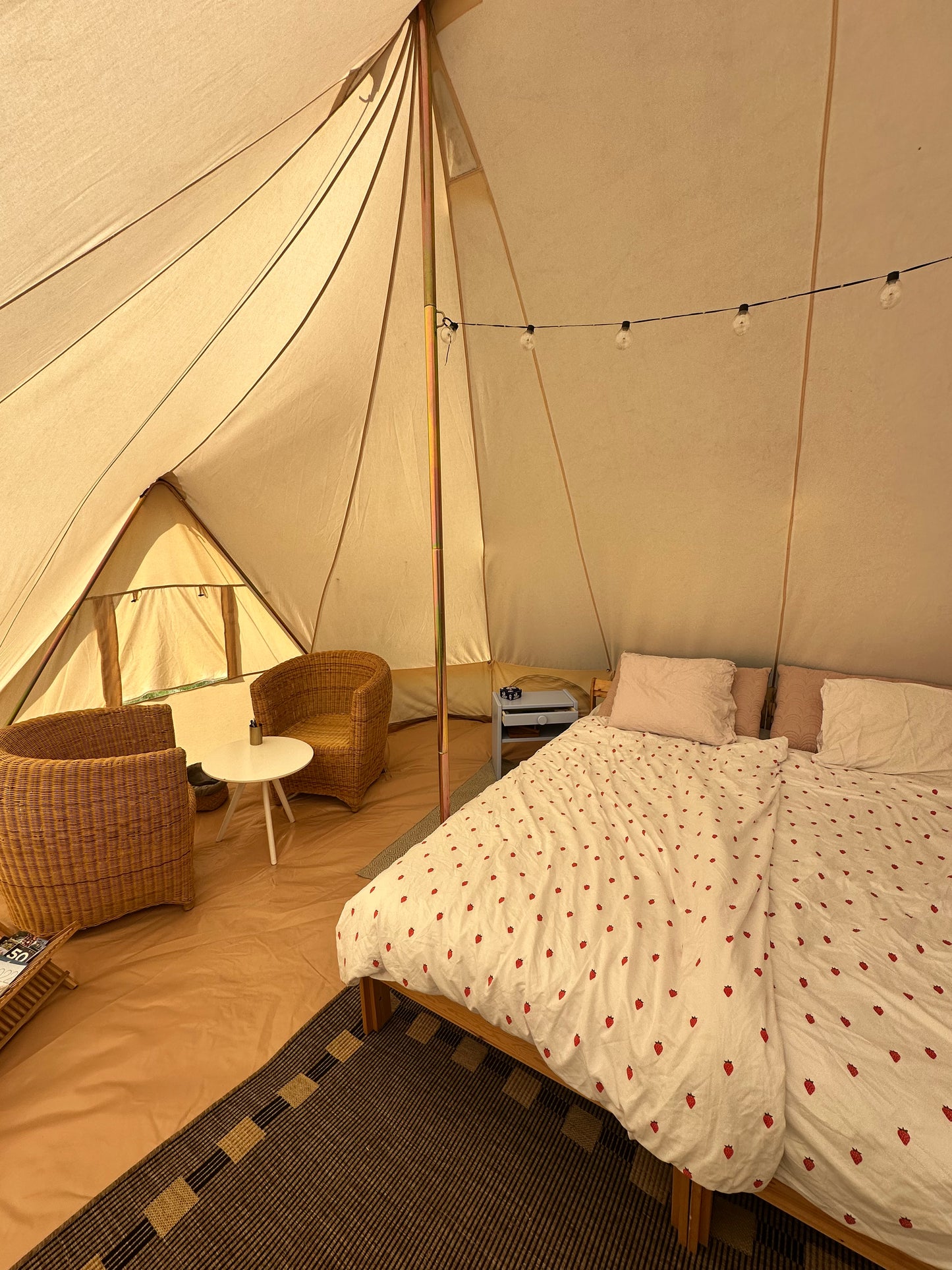 Ponyhygge & overnatning i luksustelt på Møn