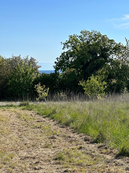 Ponyhygge & overnatning i luksustelt på Møn