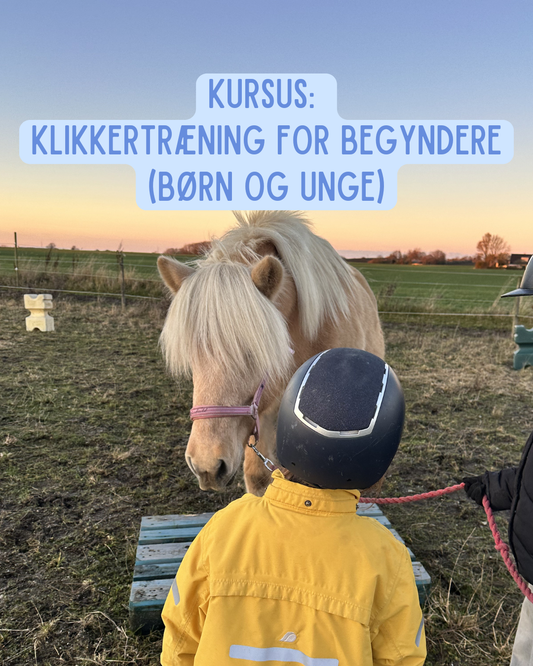 Kursus: Klikkertræning for begyndere - Børn & unge (Flere datoer)
