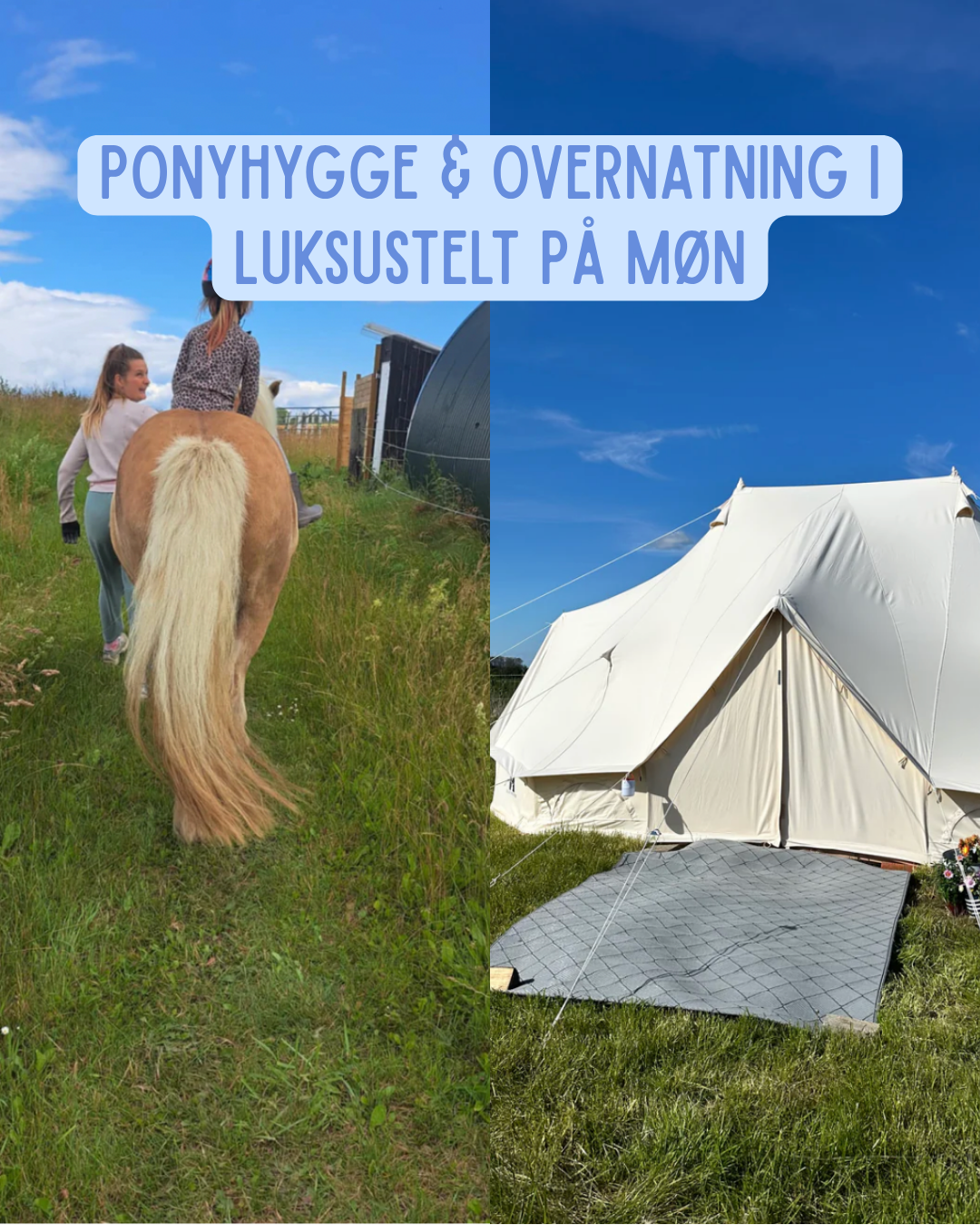 Ponyhygge & overnatning for 2 i luksustelt på Møn
