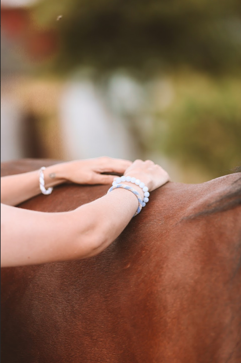 KST & FIT-behandling til din hest