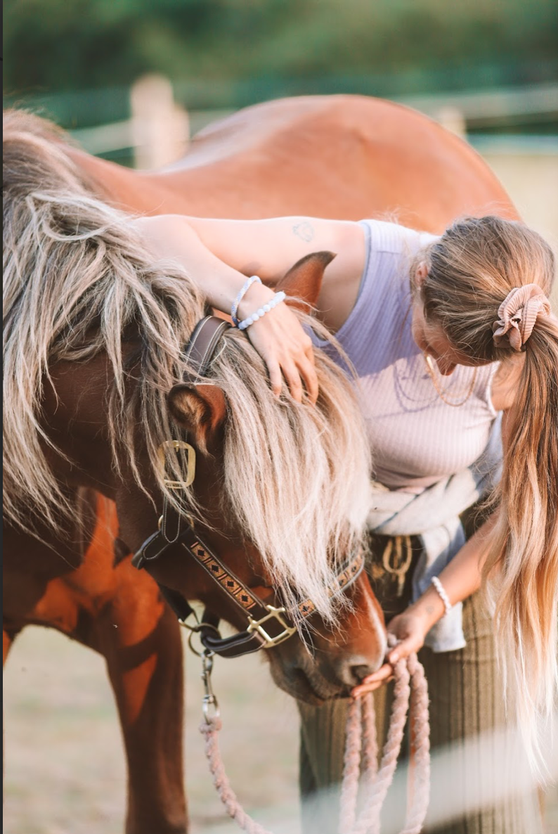 KST & FIT-behandling til din hest