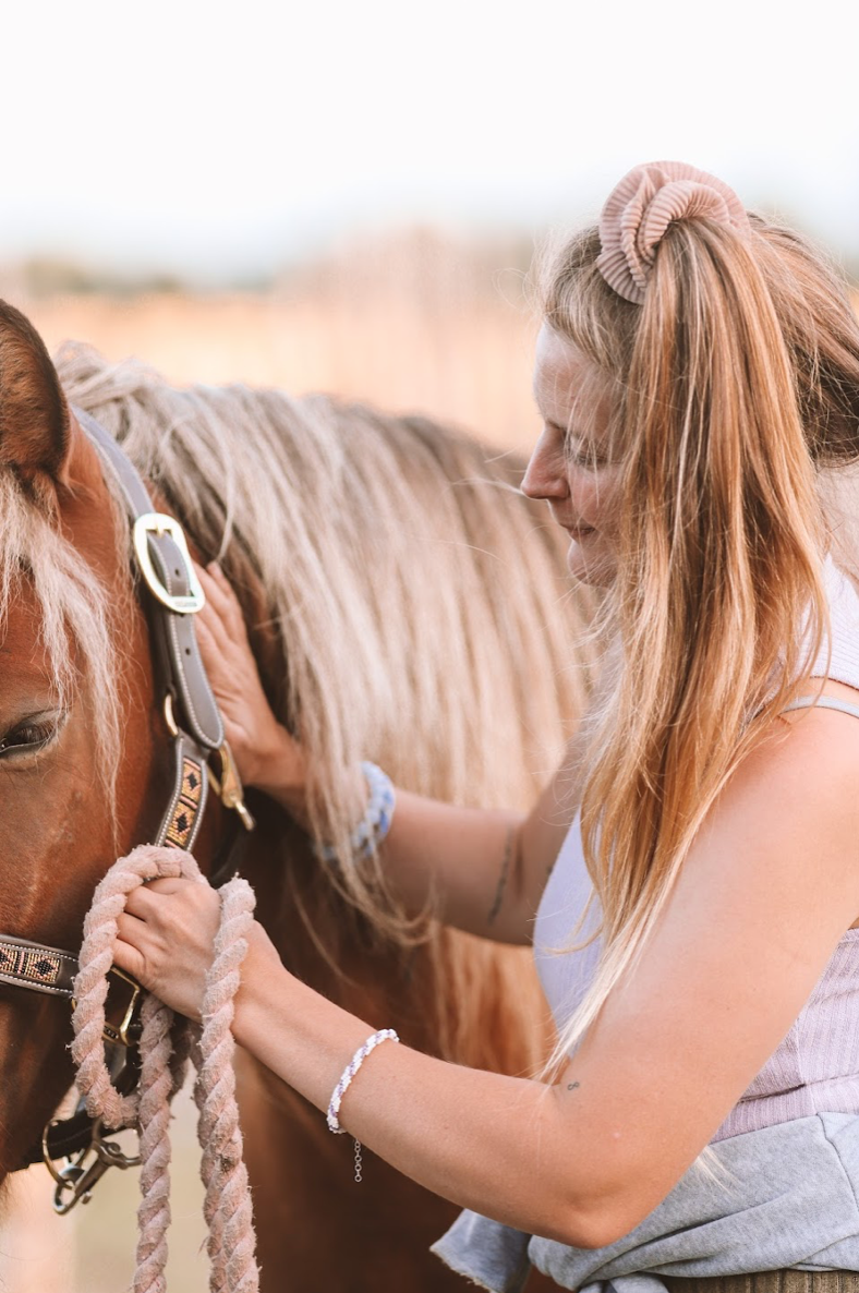 KST & FIT-behandling til din hest