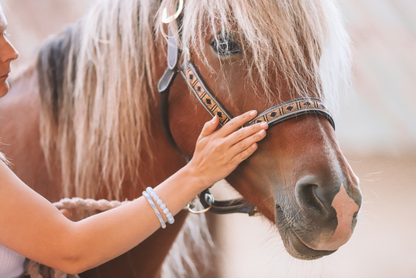 KST & FIT-behandling til din hest