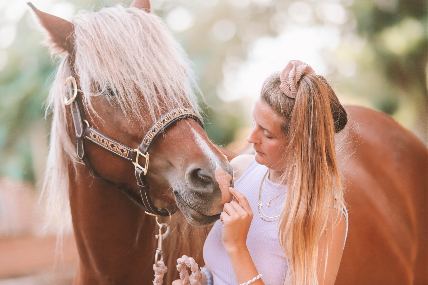KST & FIT-behandling til din hest