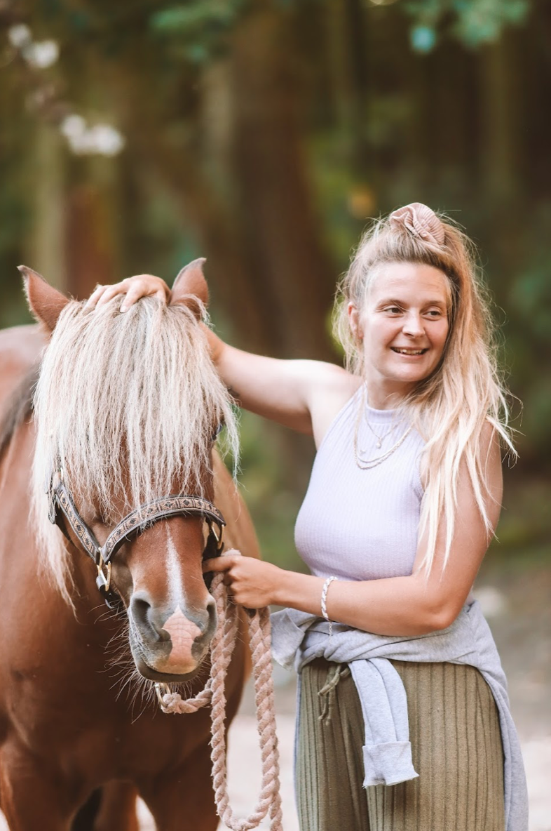 KST & FIT-behandling til din hest