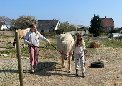 (Kommer snart) Ponyhygge & overnatning i anneks på Møn