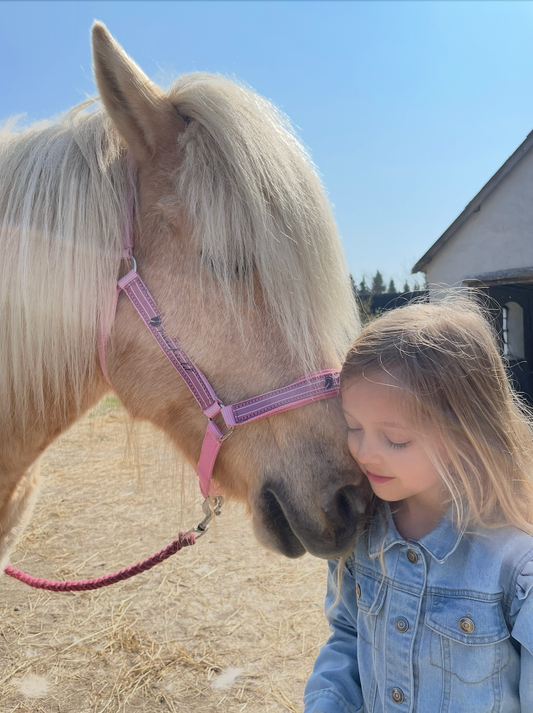 Hestevenlig rideundervisning