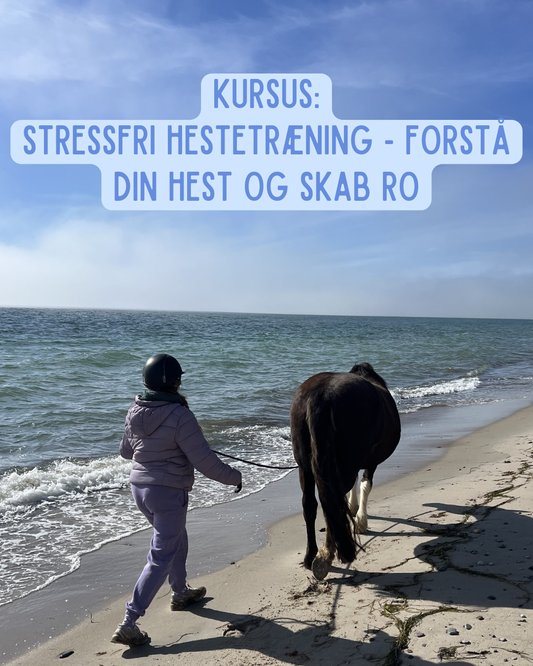 Kursus: Stressfri hestetræning - Forstå din hest og skab ro (Flere datoer)