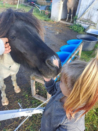 Hestevenlig rideundervisning